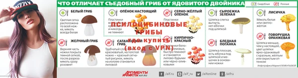 соль ск Кукмор
