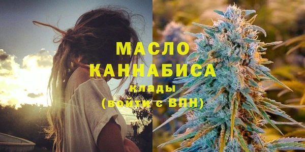 соль ск Кукмор