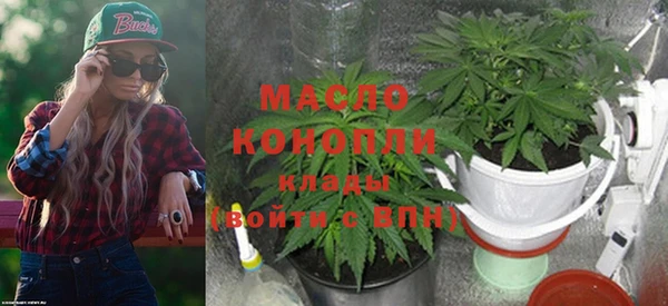 соль ск Кукмор